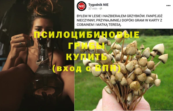 мефедрон мука Зеленокумск