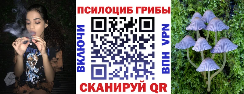 Купить  Котельники  Псилоцибиновые грибы GOLDEN TEACHER 